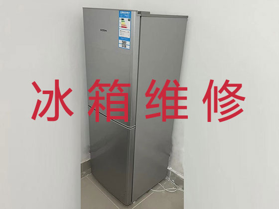 青岛电冰箱维修上门服务